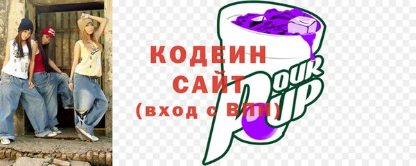 мдпв Вяземский