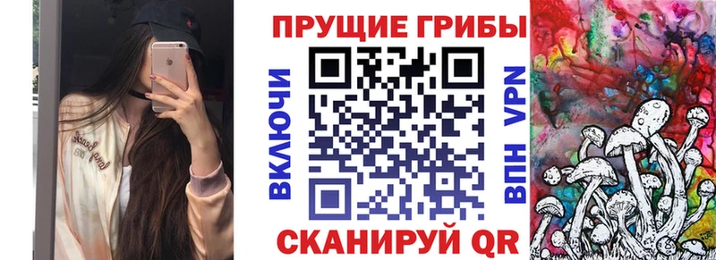 Галлюциногенные грибы MAGIC MUSHROOMS  мега ONION  Жердевка 
